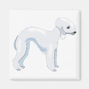 Aimant Bedlington Terrier