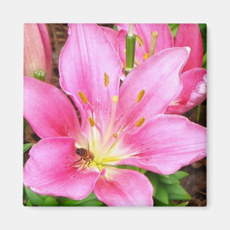 Aimant Bee in a Lilly