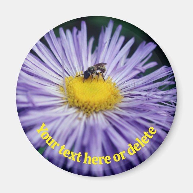 Aimant Bee On Purple Daisy Flower Personalized (Devant)