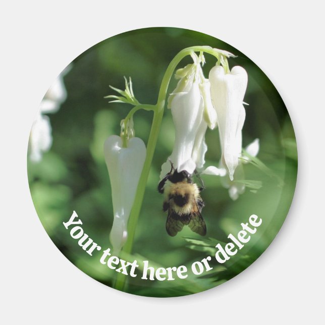Aimant Bee On White Columbine Flower Personalized (Devant)