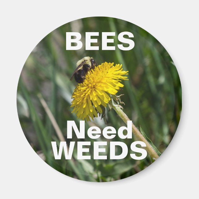 Aimant Bees Need Weeds (Devant)