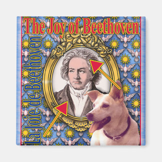 AIMANT BEETHOVEN