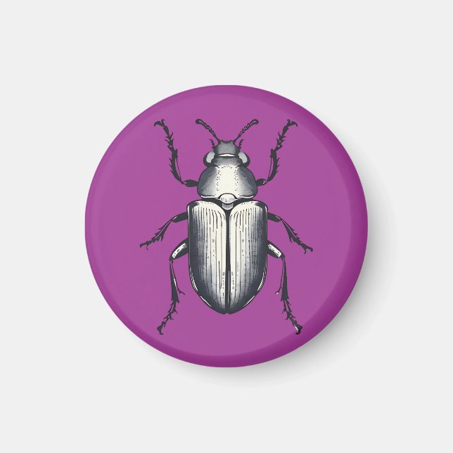 Aimant Beetle (Devant)