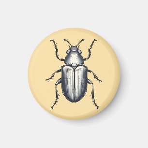 Aimant Beetle