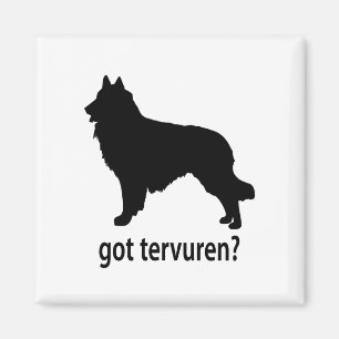 Aimant Belge obtenu Tervuren
