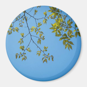 Aimant belle branche avec serrure feuille verte et jaune