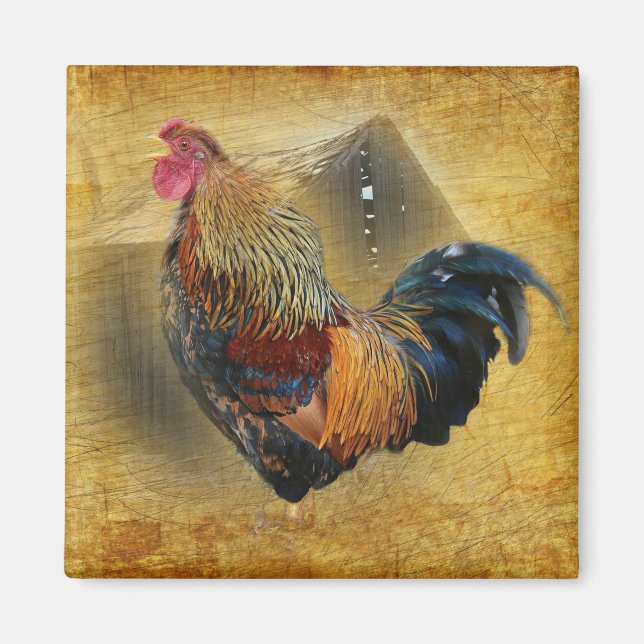 Aimant Belle coop de poulet rôti et de grange rustique (Devant)