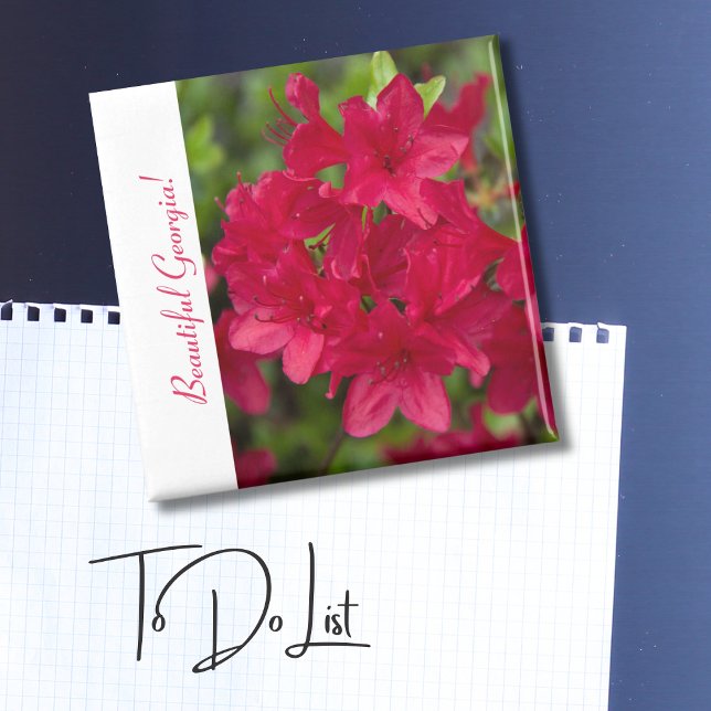 Aimant Belle Fleur de l'État Géorgie ~ Azalée  (Créateur téléchargé)