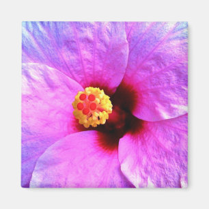 Aimant Belle Fleur Rose Violet Tendance Nature