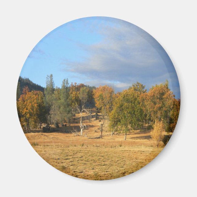 Aimant Belle Hayfork, Californie.... (Devant)