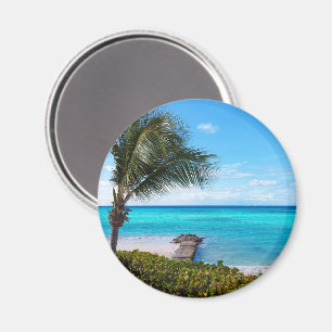 Aimant Belle Plage Tropicale Palme Ventilée