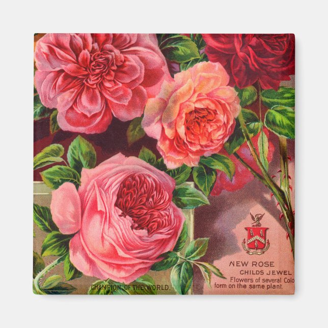 Aimant Belle publicité florale Vintage Rose (Devant)