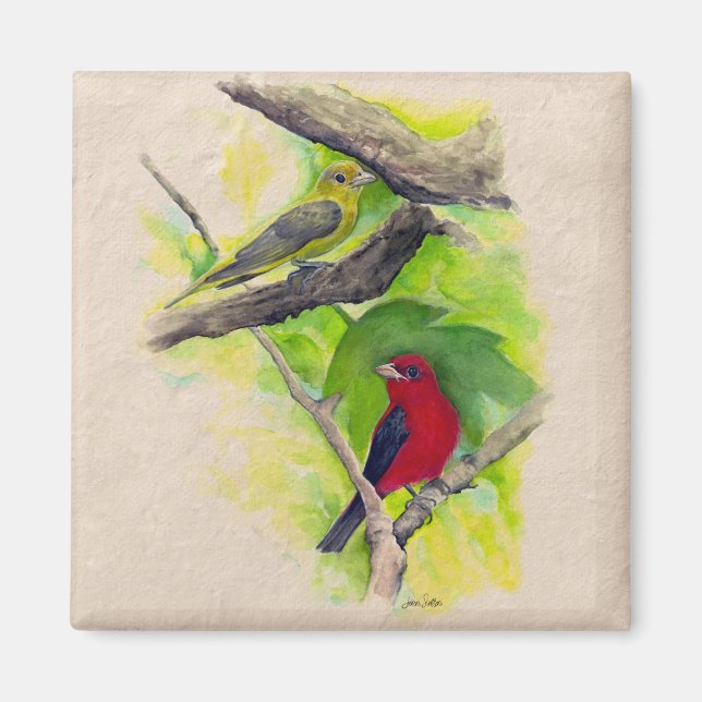 Aimant Belle Scarlet Tanagers Oiseaux Peinture (Devant)