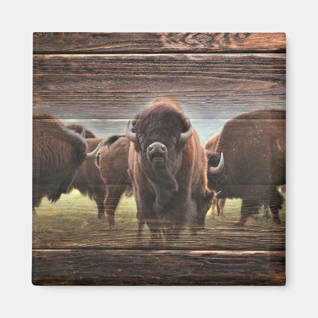 Aimant Belle Trousse De Buffalo (Devant)