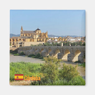 Aimant Belle ville de Cordoue en Espagne, voyage