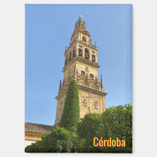 Aimant Belle ville de Cordoue en Espagne, voyage