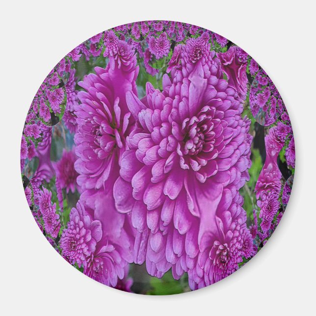 Aimant Belles Dahlias....... (Devant)