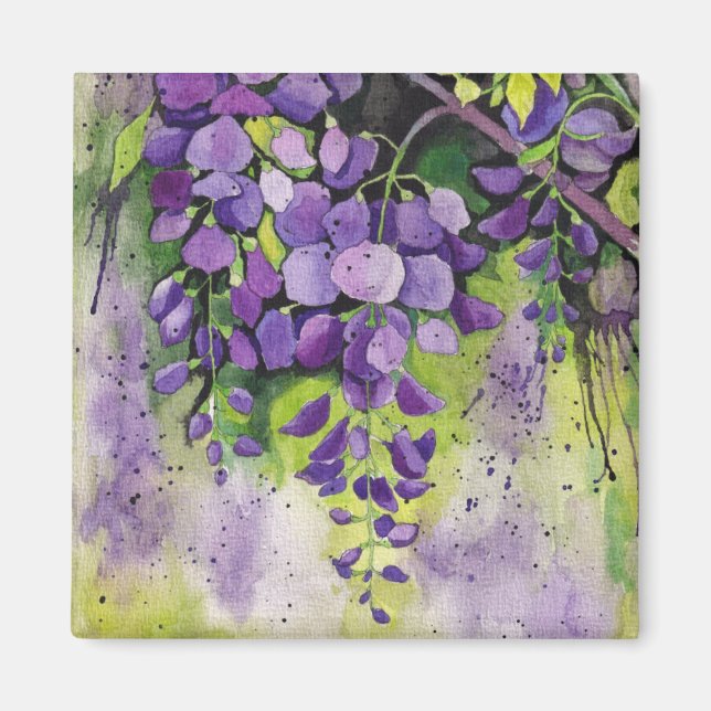 Aimant Belles Fleurs De Wisteria En Aquarelle (Devant)