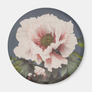 Aimant Belles impressions photomécaniques des fleurs de 