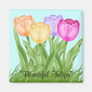 Aimant Belles tulipes