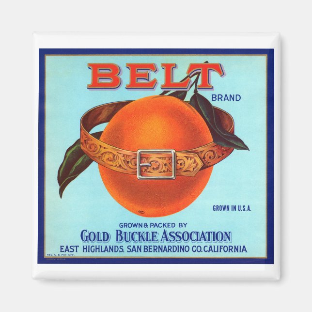 Aimant Belt Brand California Oranges (Devant)