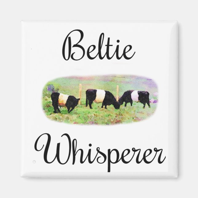 Aimant Beltie Whisperer Beltie Galloway Cattle Funny Cows (Devant)