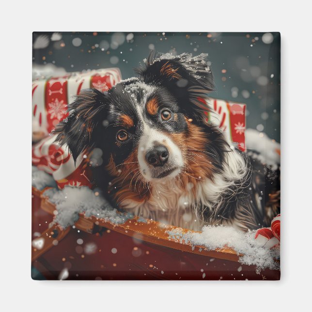 Aimant Berger Australien de Noël Festif (Devant)