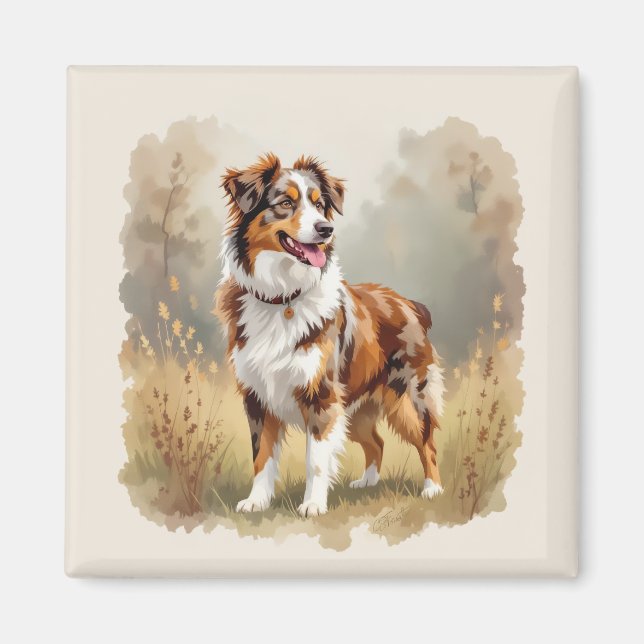 Aimant Berger Australien Red Merle (Devant)