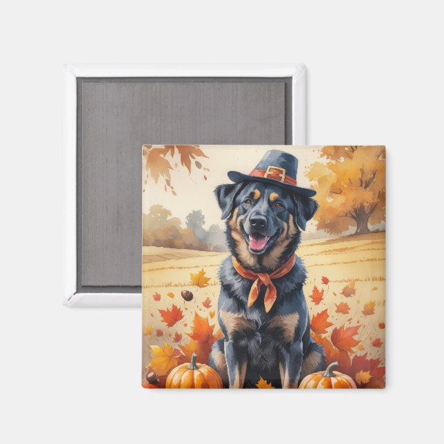 Aimant Berger belge Malinois dans les feuilles d'automne  (Recto/Verso)