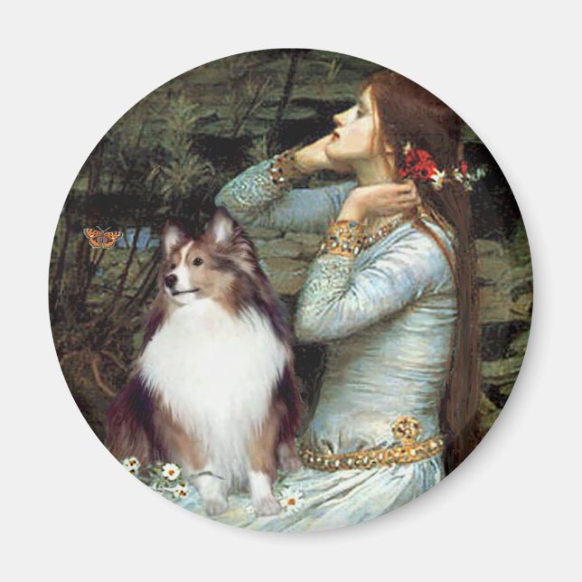 Aimant Berger des Shetland 18 - Ophelia assise (Devant)