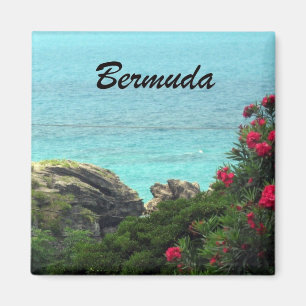 Aimant Bermudes
