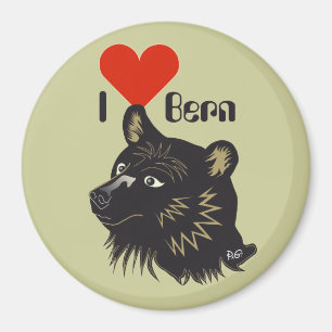 Aimant Berne Berne Berna Suisse Svizzera Svizra