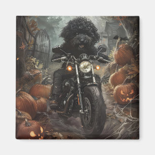 Aimant Bernedoodle à moto Halloween effrayant