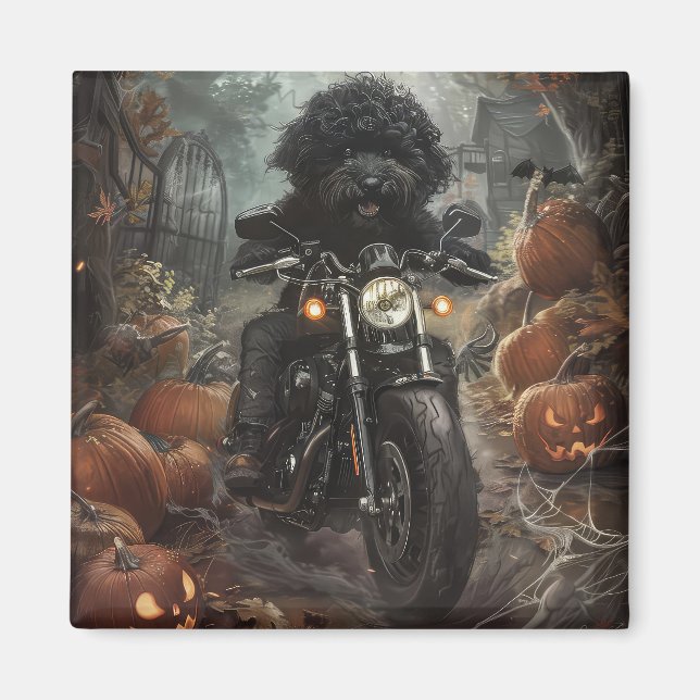 Aimant Bernedoodle Riding Moto Halloween effrayant (Devant)