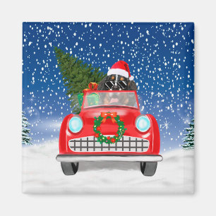 Aimant Bernese Mountain Dog Driving Car In Snow Christmas