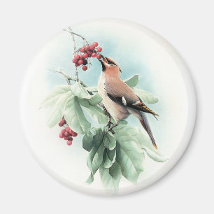 Aimant Berries Pour Manger