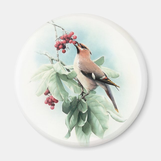 Aimant Berries Pour Manger (Devant)