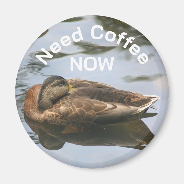 Aimant Besoin de café Canard endormi Drôle  (Devant)