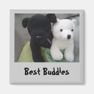 Aimant Best Buddies