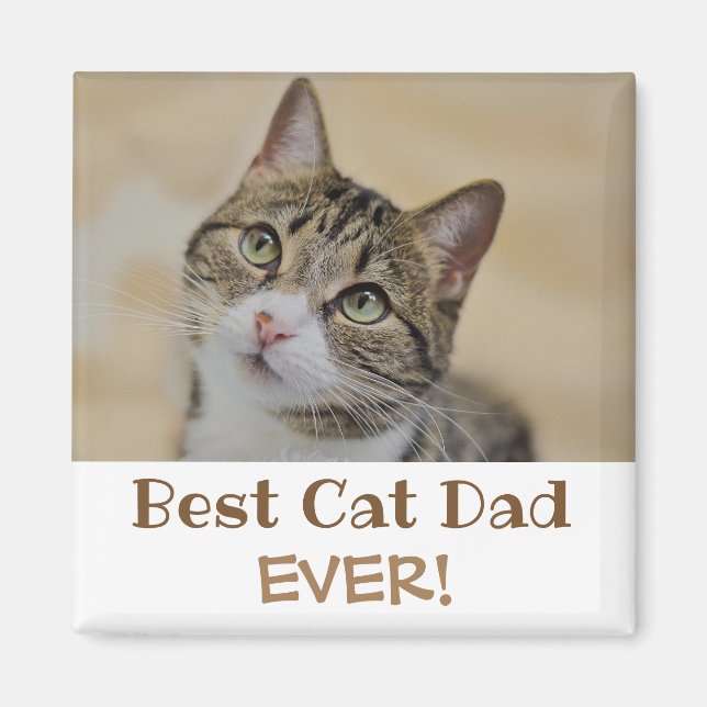 Aimant Best Cat Dad Ever Photo (Devant)