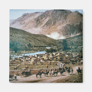 Aimant Bétail, le Colorado, 1899 (photo)