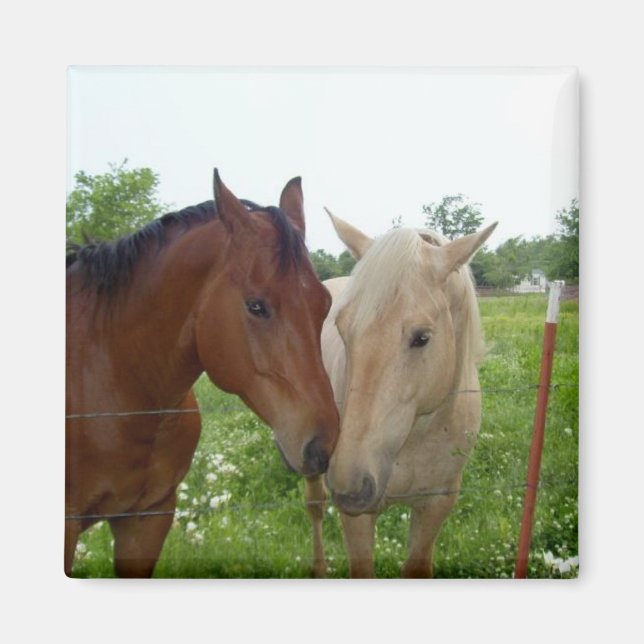 Aimant BFF Best Friends Forever - Chevaux (Devant)