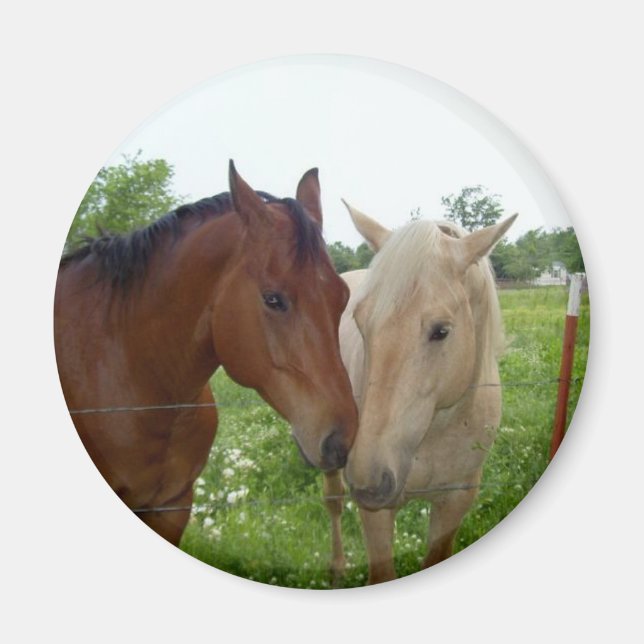 Aimant BFF Best Friends Forever - Chevaux (Devant)