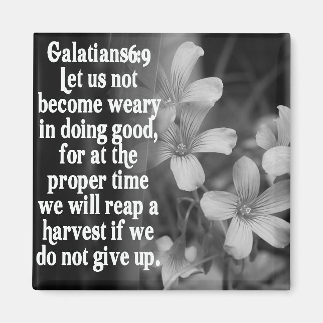 AIMANT BIBLIOTHÈQUE GALATIENS 6:9 (Devant)