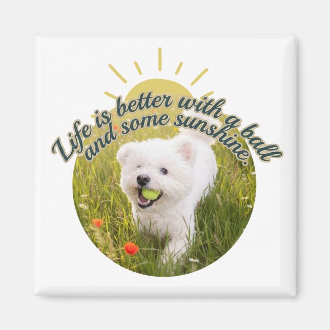 Aimant Bichon & Ball Jours de pissenlits  (Devant)