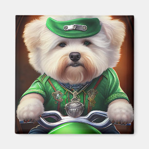 Aimant Bichon Frisé Chien Conduite Vélo St. Patrick