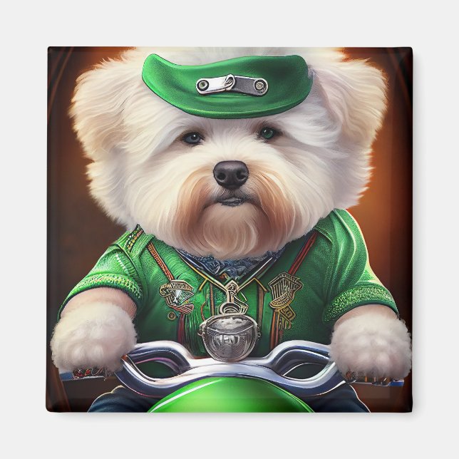 Aimant Bichon Frisé Chien Conduite Vélo St. Patrick (Devant)