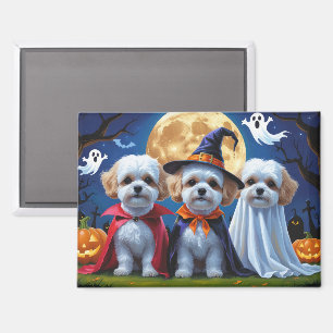 Aimant Bichon Frise Chiens Citrouille Halloween Funny