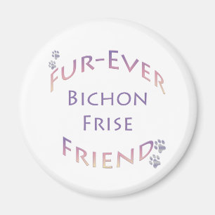 Aimant Bichon Frise Furever