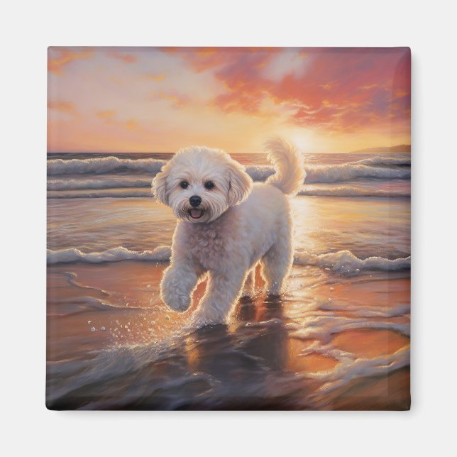 Aimant Bichon frisé Sandy Paws sur la plage au coucher du (Devant)